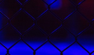 McGregor's Stout Becomes Official Drink of BKFC